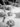 DSC 0568 bw